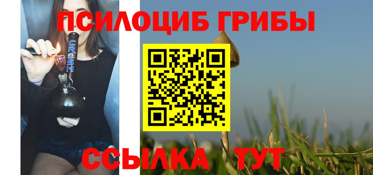 Вичуга  купить   Вход с VPN  Галлюциногенные грибы GOLDEN TEACHER 